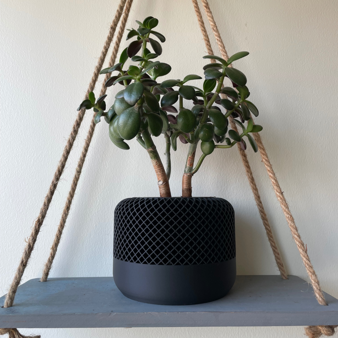 The Homepod Planter | Apple HomePod Inspired Planter | Premium Geometric Design for Elegant Home & Office Decor | Modern Pot for Houseplants